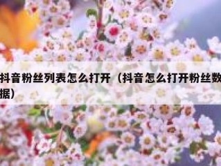 抖音粉丝列表怎么打开（抖音怎么打开粉丝数据）