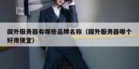国外服务器有哪些品牌名称（国外服务器哪个好用便宜）