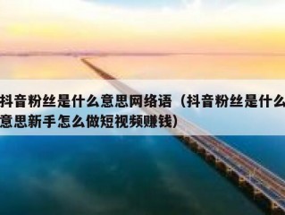 抖音粉丝是什么意思网络语（抖音粉丝是什么意思新手怎么做短视频赚钱）