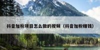 抖音加粉项目怎么做的视频（抖音加粉赚钱）
