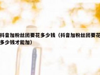 抖音加粉丝团要花多少钱（抖音加粉丝团要花多少钱才能加）