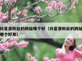 抖音涨粉丝的网站哪个好（抖音涨粉丝的网站哪个好用）