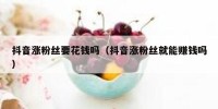 抖音涨粉丝要花钱吗（抖音涨粉丝就能赚钱吗）