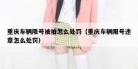 重庆车辆限号被拍怎么处罚（重庆车辆限号违章怎么处罚）
