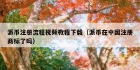 派币注册流程视频教程下载（派币在中国注册商标了吗）