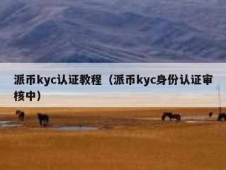 派币kyc认证教程（派币kyc身份认证审核中）