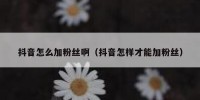 抖音怎么加粉丝啊（抖音怎样才能加粉丝）