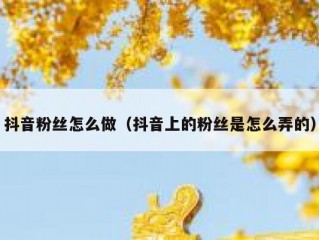 抖音粉丝怎么做（抖音上的粉丝是怎么弄的）