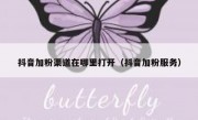 抖音加粉渠道在哪里打开（抖音加粉服务）