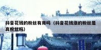 抖音花钱的粉丝有用吗（抖音花钱涨的粉丝是真粉丝吗）