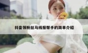抖音领粉丝马线报帮手的简单介绍