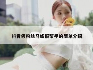 抖音领粉丝马线报帮手的简单介绍