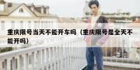 重庆限号当天不能开车吗（重庆限号是全天不能开吗）