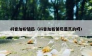 抖音加粉骗局（抖音加粉骗局是真的吗）