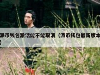 派币钱包激活能不能取消（派币钱包最新版本）