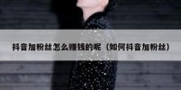 抖音加粉丝怎么赚钱的呢（如何抖音加粉丝）
