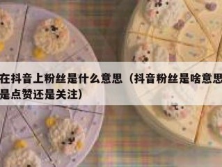 在抖音上粉丝是什么意思（抖音粉丝是啥意思是点赞还是关注）