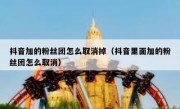 抖音加的粉丝团怎么取消掉（抖音里面加的粉丝团怎么取消）