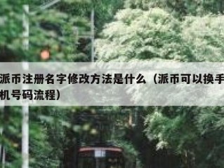 派币注册名字修改方法是什么（派币可以换手机号码流程）