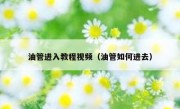 油管进入教程视频（油管如何进去）