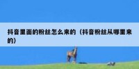 抖音里面的粉丝怎么来的（抖音粉丝从哪里来的）