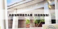 抖音加粉项目怎么做（抖音粉加加）
