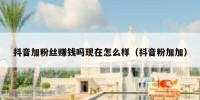 抖音加粉丝赚钱吗现在怎么样（抖音粉加加）