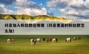 抖音加入粉丝群在哪里（抖音里面的粉丝群怎么加）