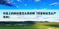 抖音上的粉丝是怎么弄的呢（抖音粉丝怎么产生的）