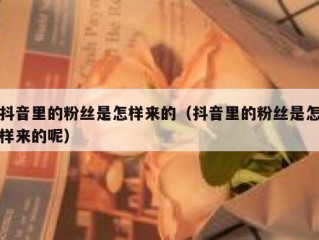 抖音里的粉丝是怎样来的（抖音里的粉丝是怎样来的呢）