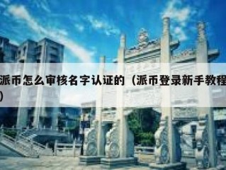 派币怎么审核名字认证的（派币登录新手教程）