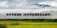 快手然后涨粉（快手然后涨粉怎么操作）