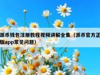 派币钱包注册教程视频讲解全集（派币官方正版app常见问题）