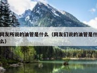 网友所说的油管是什么（网友们说的油管是什么）