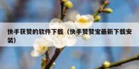快手获赞的软件下载（快手赞赞宝最新下载安装）