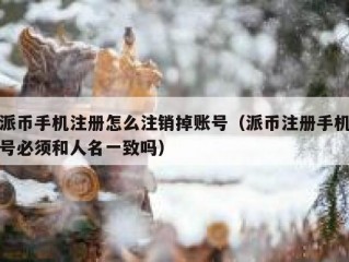 派币手机注册怎么注销掉账号（派币注册手机号必须和人名一致吗）