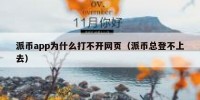 派币app为什么打不开网页（派币总登不上去）