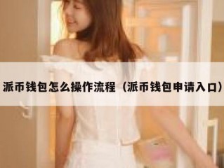 派币钱包怎么操作流程（派币钱包申请入口）