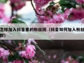怎样加入抖音里的粉丝团（抖音如何加入粉丝群）