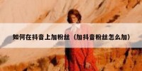 如何在抖音上加粉丝（加抖音粉丝怎么加）