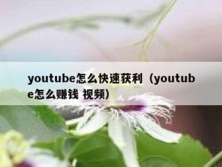 youtube怎么快速获利（youtube怎么赚钱 视频）