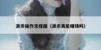 派币操作流程图（派币真能赚钱吗）