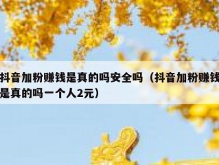 抖音加粉赚钱是真的吗安全吗（抖音加粉赚钱是真的吗一个人2元）
