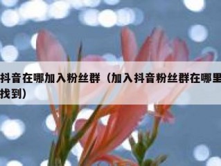 抖音在哪加入粉丝群（加入抖音粉丝群在哪里找到）