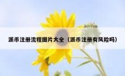 派币注册流程图片大全（派币注册有风险吗）