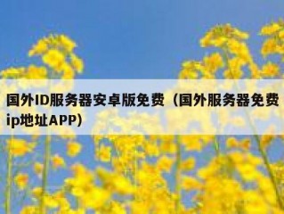 国外ID服务器安卓版免费（国外服务器免费ip地址APP）