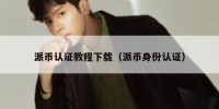 派币认证教程下载（派币身份认证）
