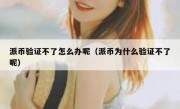 派币验证不了怎么办呢（派币为什么验证不了呢）