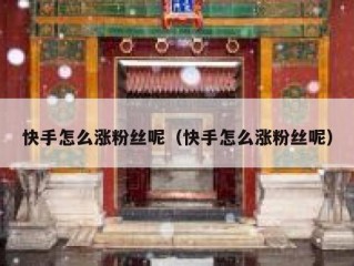 快手怎么涨粉丝呢（快手怎么涨粉丝呢）