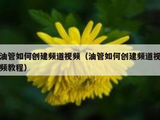 油管如何创建频道视频（油管如何创建频道视频教程）